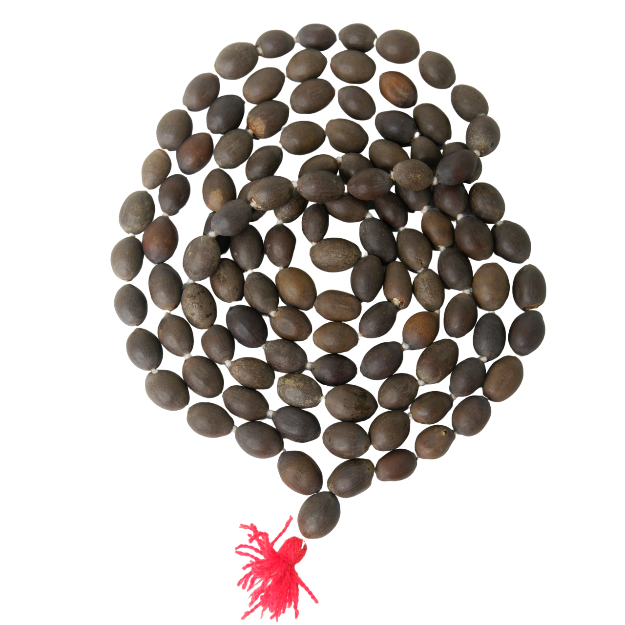 SANATAN  Kamal Gatta Mala