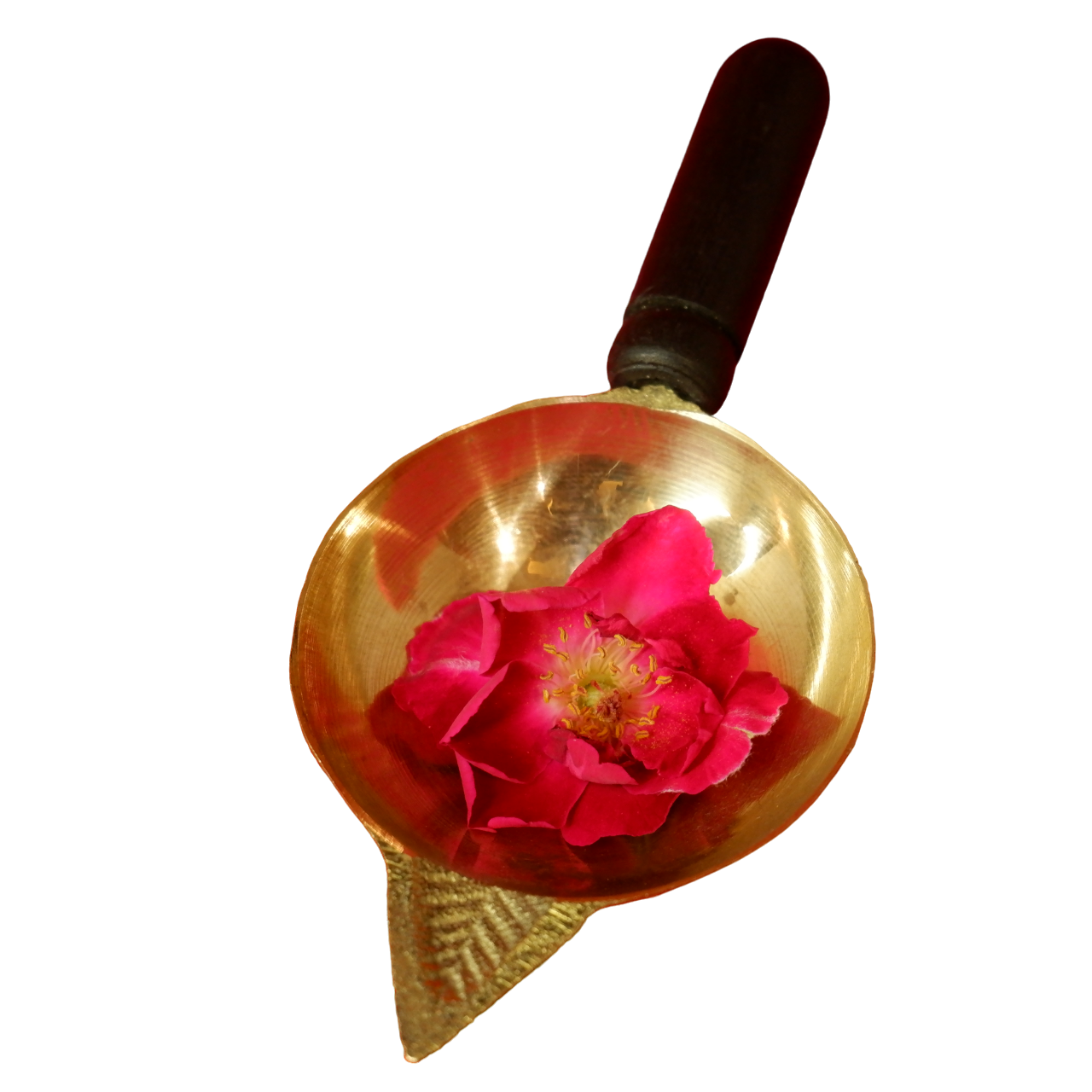 SANATAN  Lakshmi Deepak (Big)