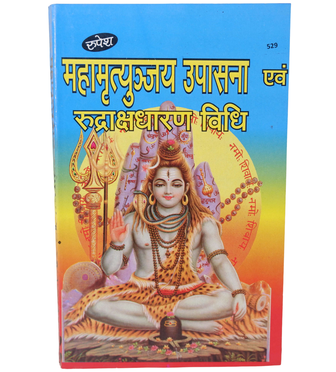 Mahamrityunjaya upasana and Rudrakshdharan