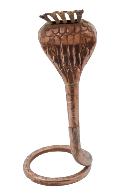 SANATAN  Shivling Arpan Naag (Copper)
