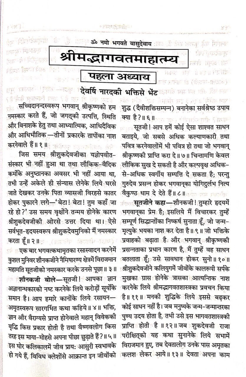 Srimad Bhagavat Sudha Sagar (With Pictures, Simple Hindi, Big Letters) by Gita Press